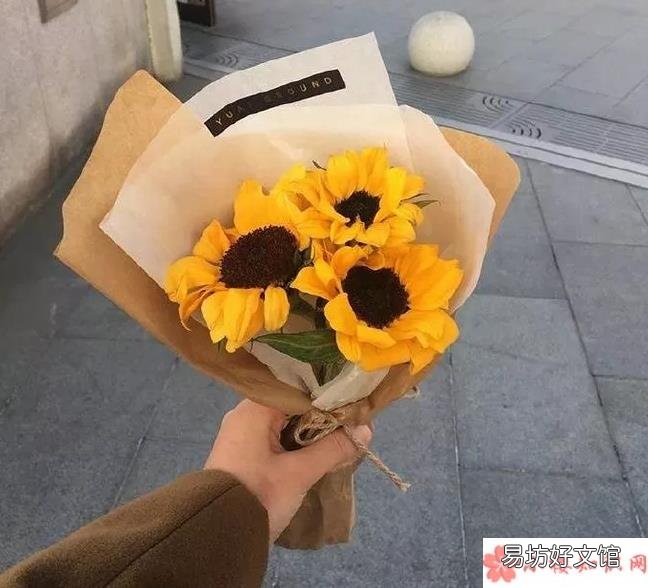 阳光向上发朋友圈经典励志句子 朋友圈正能量励志智慧感悟短句