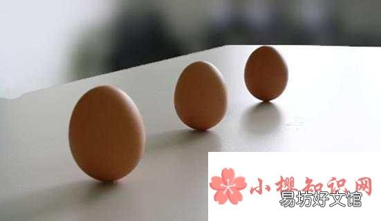 春分为什么可以立蛋?