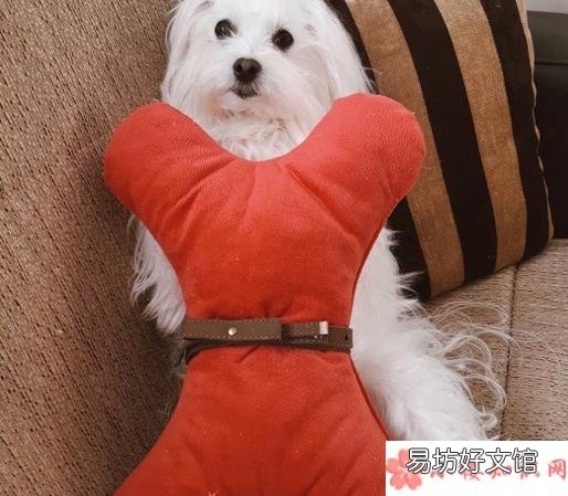 枕头挑战玩法教程 抖音枕头挑战怎么拍