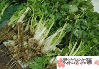 最接受不了的食物是什么 见过最挑食的人是怎样的