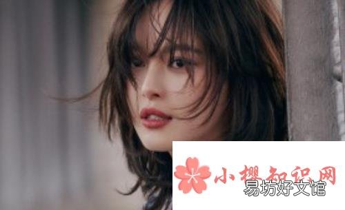 辛芷蕾同款发型是什么梗?
