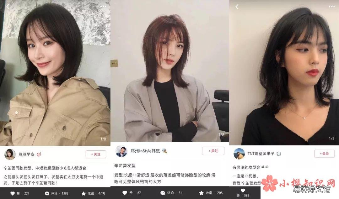 辛芷蕾同款发型是什么梗?