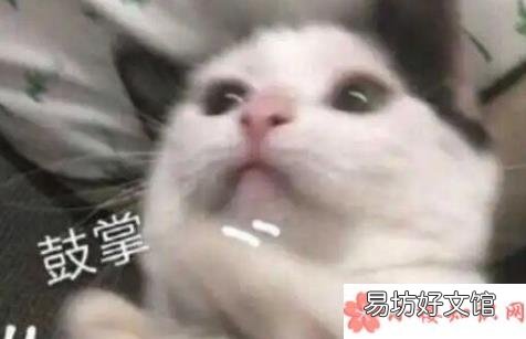 人有多无知的搞笑故事 生活中有哪些无知的表现