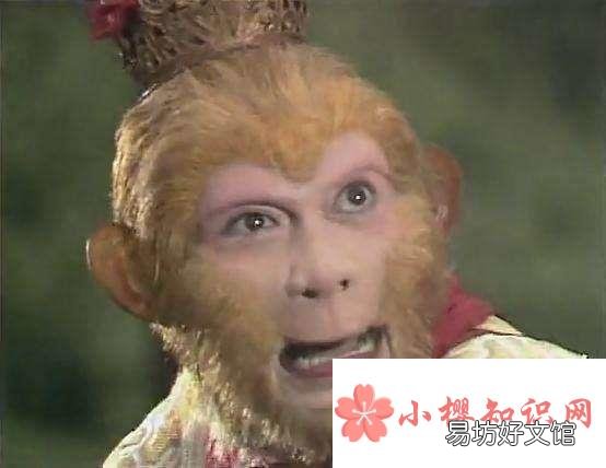 六学家是什么梗?
