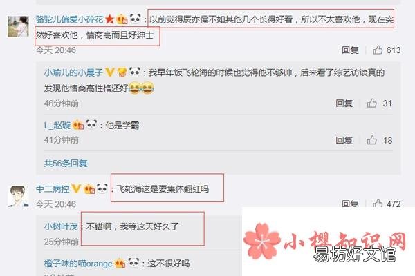 飞轮海车祸现场是什么梗?
