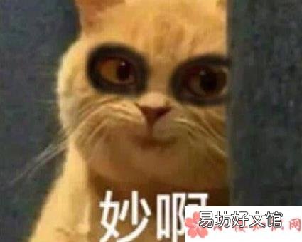 网聊应该标注年龄吗 如果网聊标注年龄会怎样