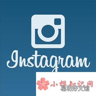 明星用的ins是什么软件?
