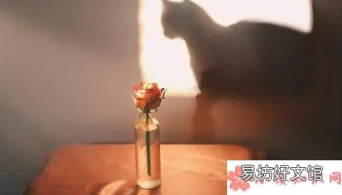 六一可爱可甜的句子 2020六一超可爱文案大全
