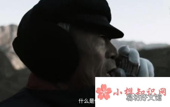 佩奇是啥?