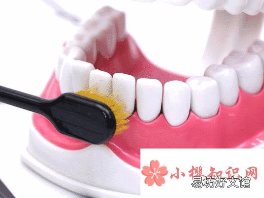 刷牙应该在早餐之前还是之后?