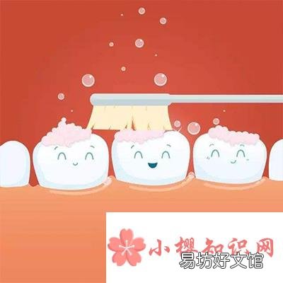 刷牙应该在早餐之前还是之后?