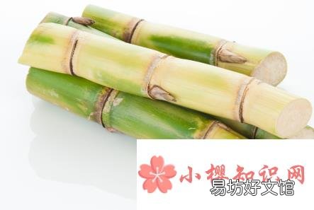 为什么甘蔗下部比上部甜?