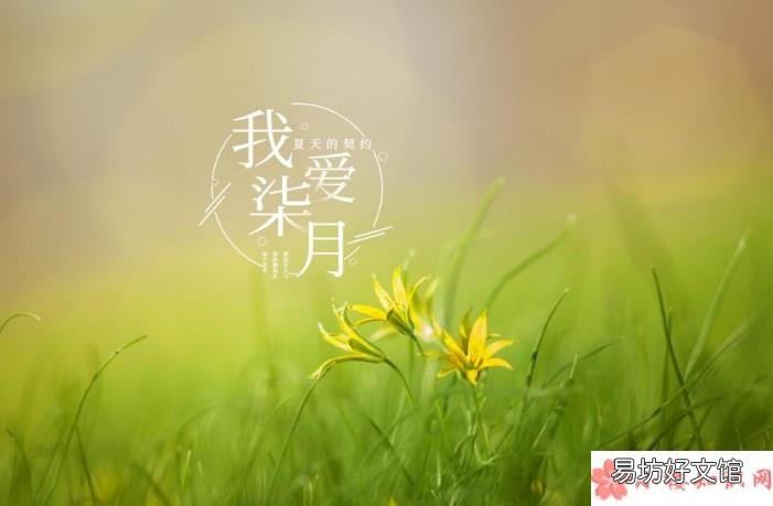 2020七月你好的朋友圈怎么发 2020七月你好七月开始了的朋友圈配文