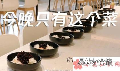 逗鹅冤的故事介绍 逗鹅冤是什么意思什么梗