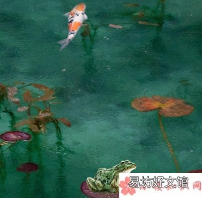 2020今日小暑图片说说 2020今日小暑图片朋友圈文案