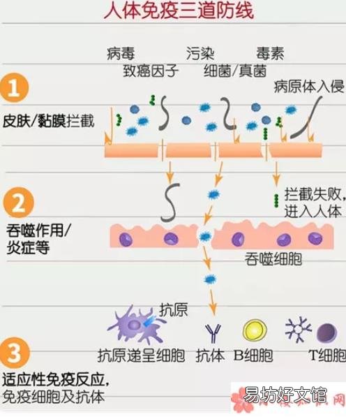 易生病宝宝奶粉选择技巧 宝宝易生病奶粉怎么选择