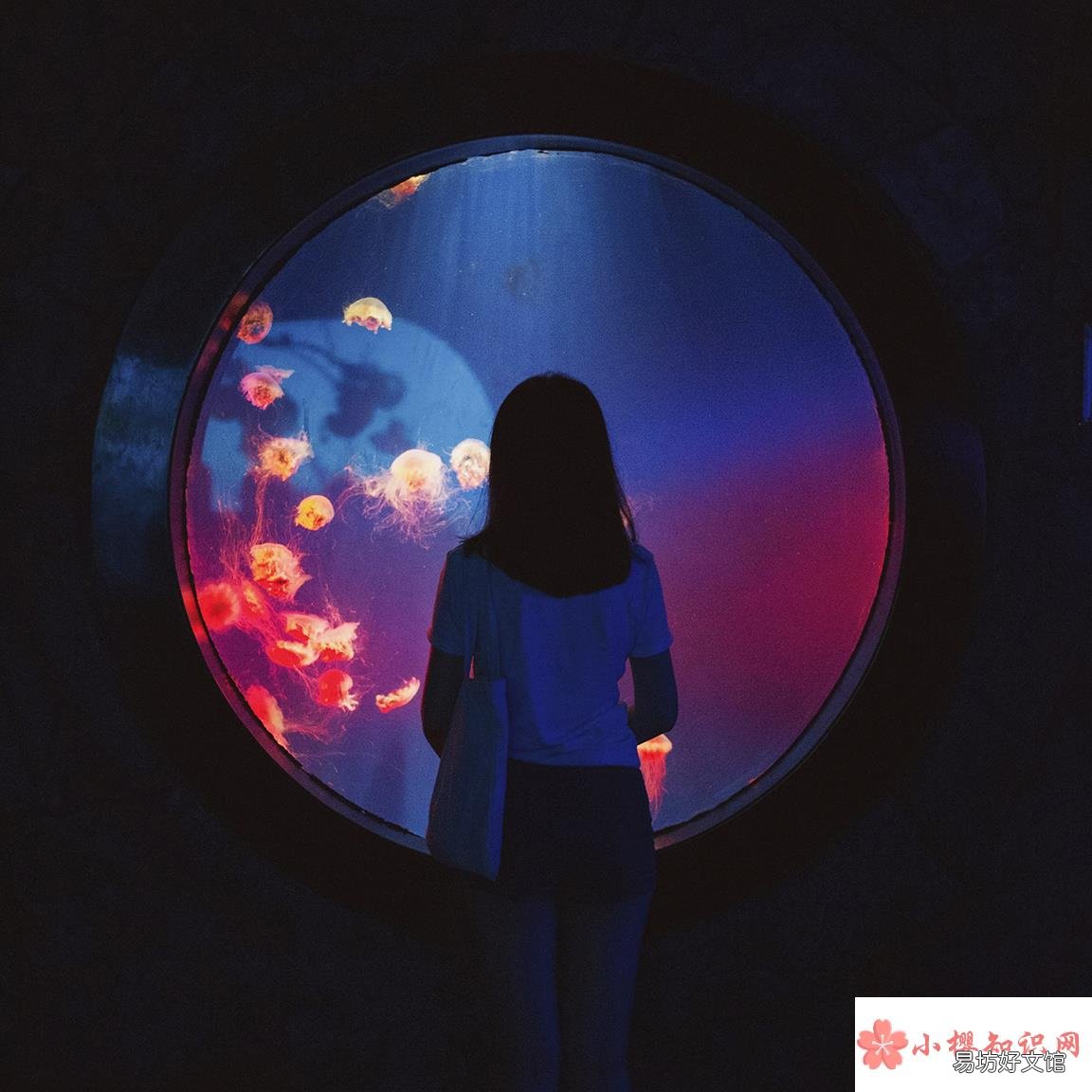 月亮上能听见声音吗?