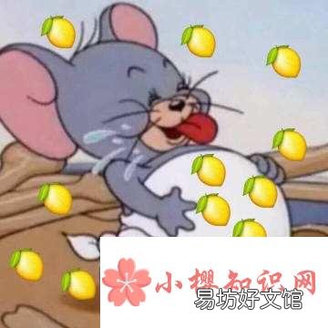 我酸了什么意思?