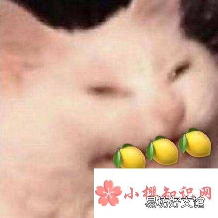 我酸了什么意思?