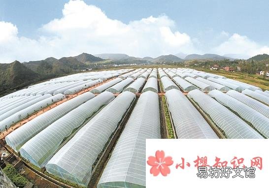 为什么大棚里温度高？