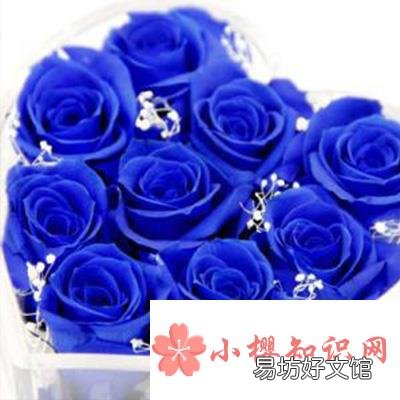 蓝玫瑰代表什么意思?