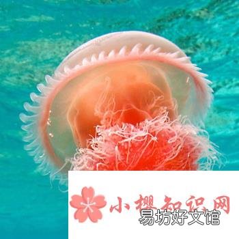 什么是次声波?