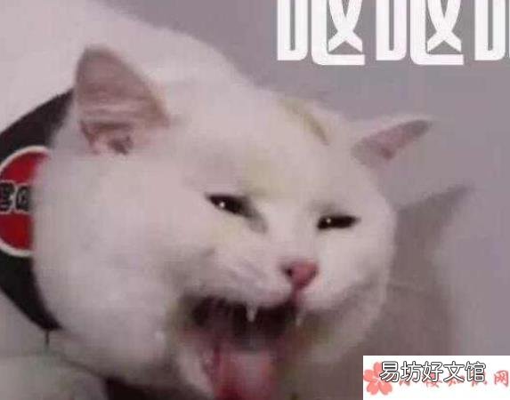 网络用语D区又是什么意思 网络用语D是什么意思