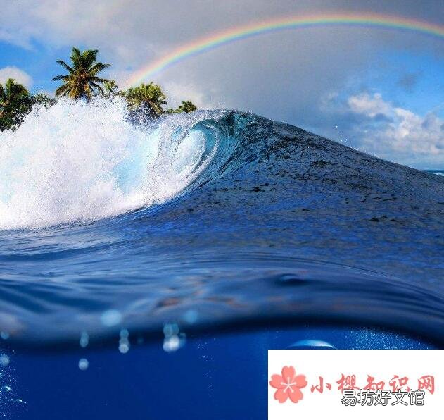 为什么浪花是白色的?