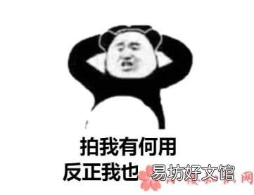 微信拍一拍幽默逗趣的后缀大全 微信拍一拍搞笑好玩有趣的后缀句子
