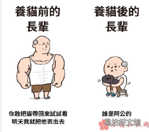 长辈养猫前后有哪些改变 养猫前后的长辈有什么变化