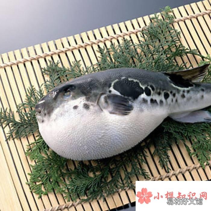 河豚会被自己的毒素毒死吗?