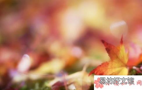 立秋朋友圈搞笑段子 立秋搞笑段子说说