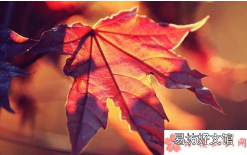 立秋朋友圈搞笑段子 立秋搞笑段子说说