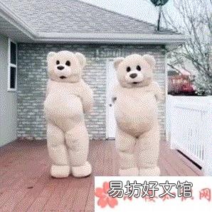 抖音跳舞熊表情包动图 跳舞熊动态表情包图片大全