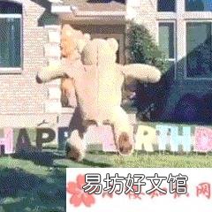 抖音跳舞熊表情包动图 跳舞熊动态表情包图片大全