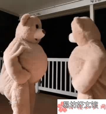 抖音跳舞熊表情包动图 跳舞熊动态表情包图片大全
