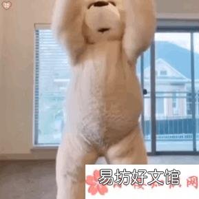 抖音跳舞熊表情包动图 跳舞熊动态表情包图片大全