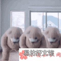 抖音跳舞熊表情包动图 跳舞熊动态表情包图片大全