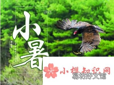 小暑三候,听到蟋蟀的声音了吗?