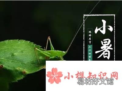 小暑三候,听到蟋蟀的声音了吗?