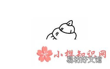 蚌和螺蛳是怎样走路的?