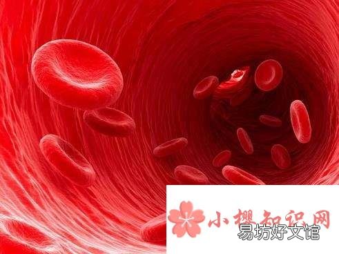 为什么人流血过多会死亡?
