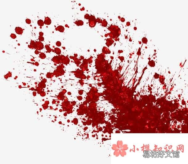 为什么人流血过多会死亡?