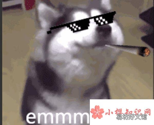 聊天中emm什么意思?