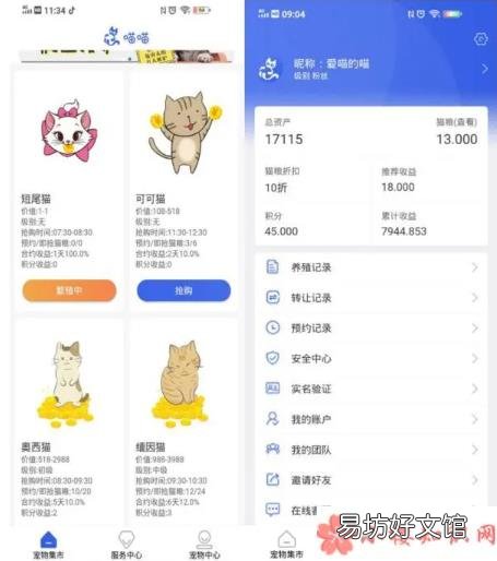 云养猫有哪些陷阱 网上养猫平台是怎么骗钱的