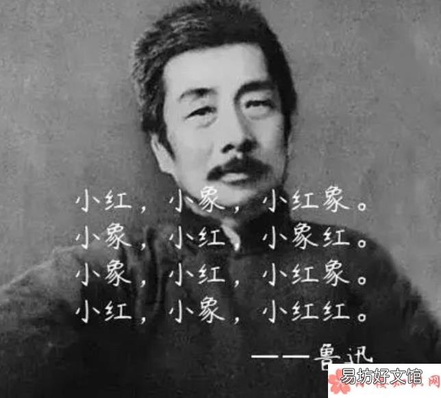 ?《小红象》完整版歌词是什么 《仲夏满天星》中小红象是鲁迅写的是真的吗