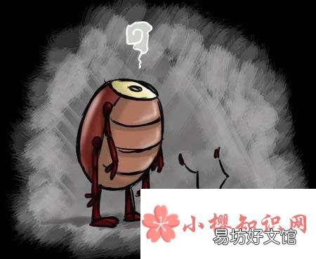 蟑螂没了头部还可以生存很长时间吗?