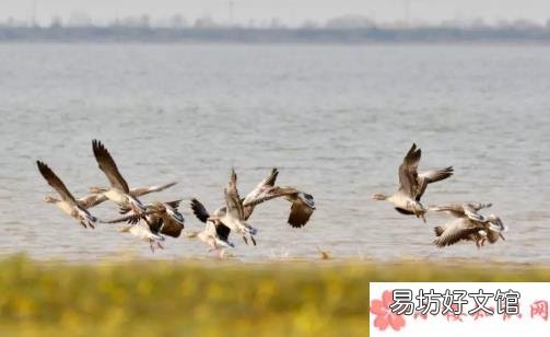 蚂蚁庄园10月20日答案 武汉别名江城又被称为湿地之城吗