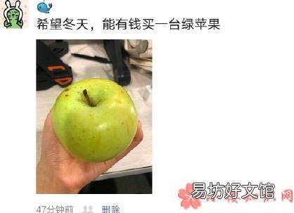 冬天的第一個蘋果什么梗 冬天的第一個蘋果什么意思