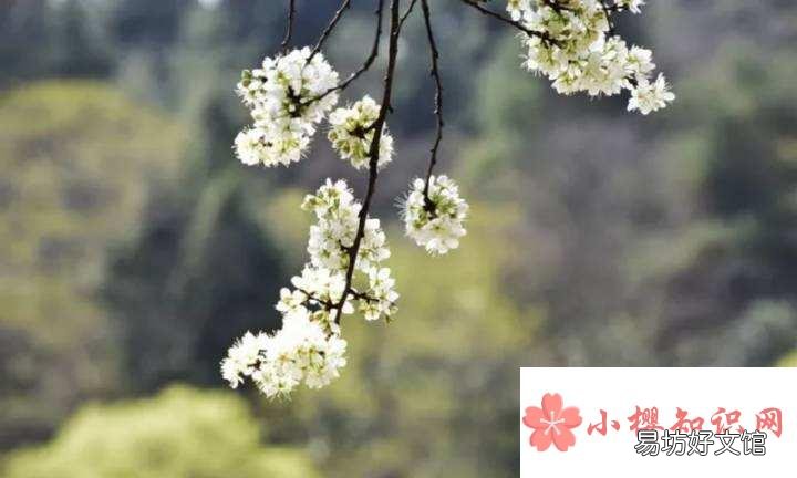 且来且去什么意思?